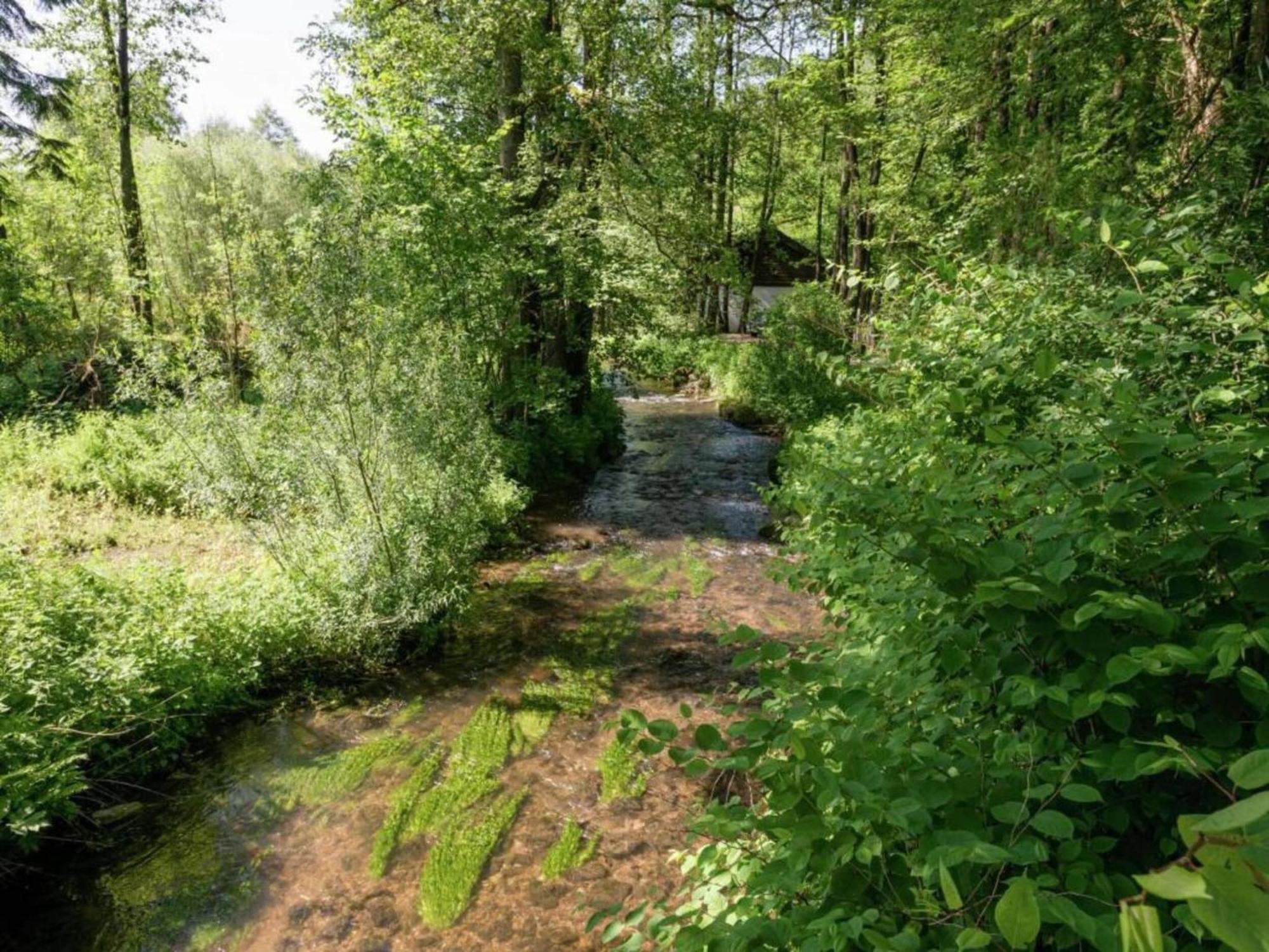 1St Floor Apartment Near Willingen Виллинген Экстерьер фото